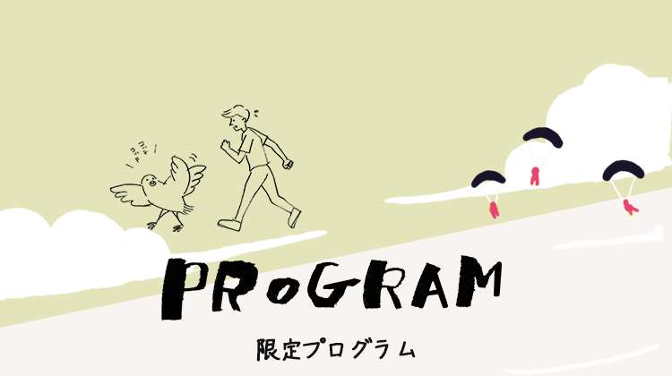 PROGRAM