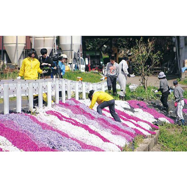 ため池周りに花が植えられている