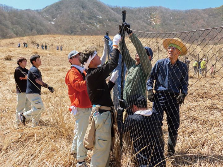 絶滅危惧種の蝶の保護活動の様子