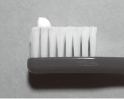 2歳まで歯磨きの付け方