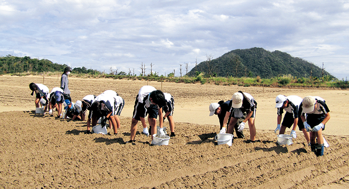 らっきょうの植え付け体験の様子