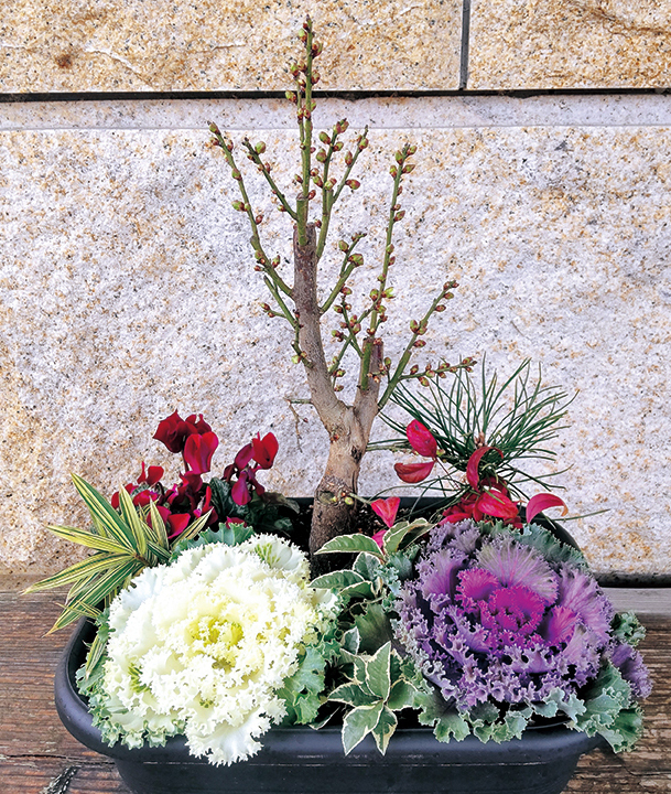 万葉集に登場する花木の寄せ植え