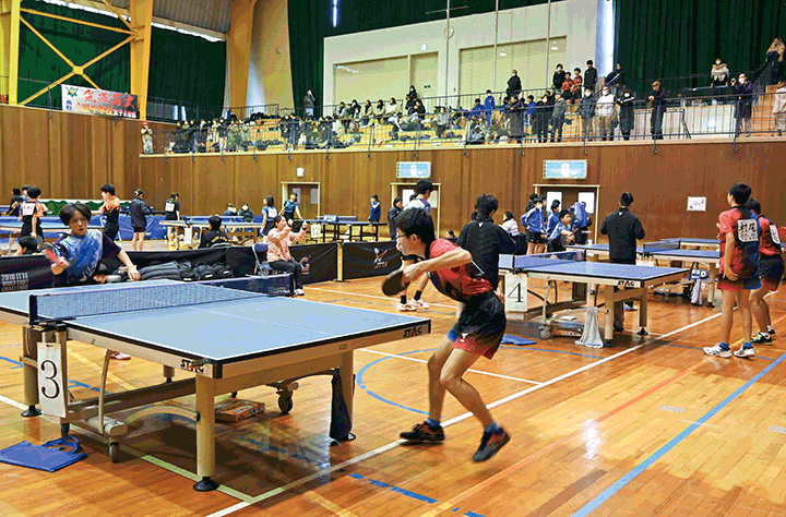 青谷オープン卓球2024の様子