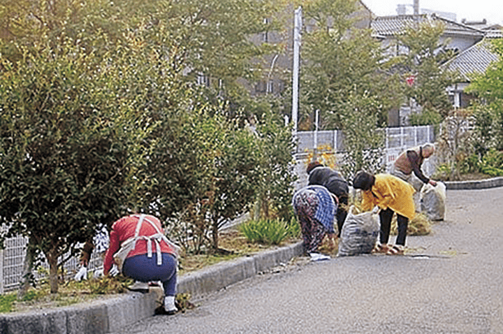 環境美化活動の様子