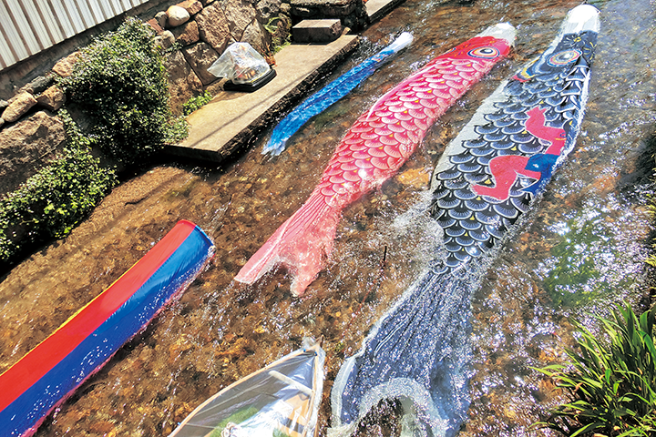 用瀬地区瀬戸川に設置された鯉のぼり