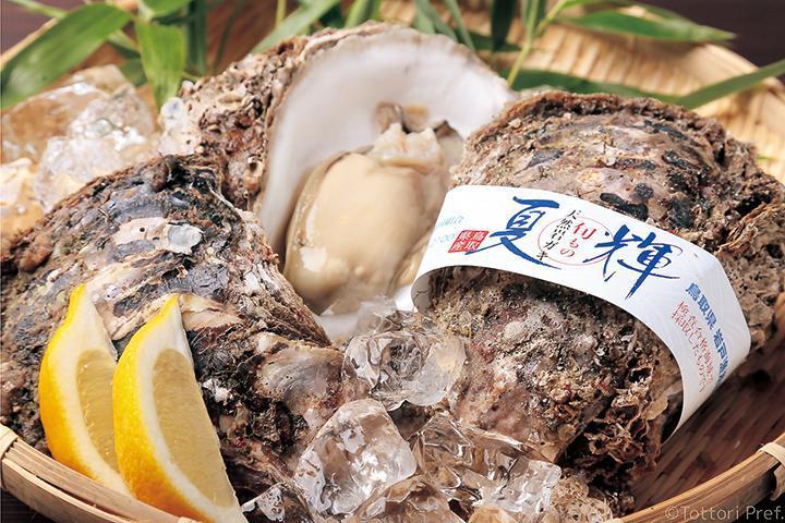 岩牡蠣・夏輝