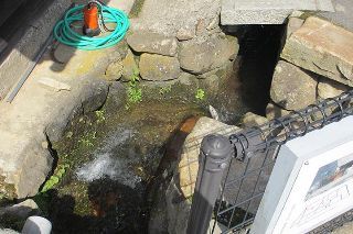 鹿野町 地震断層