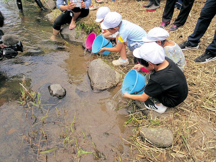 ヤマメ放流の様子