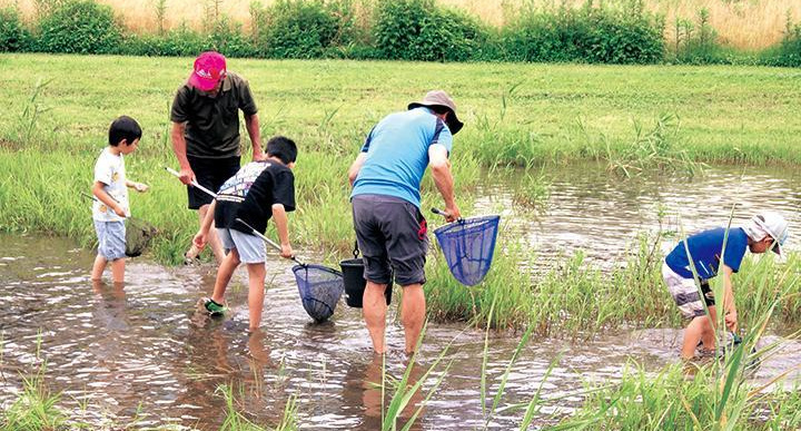 水中生物を探している様子