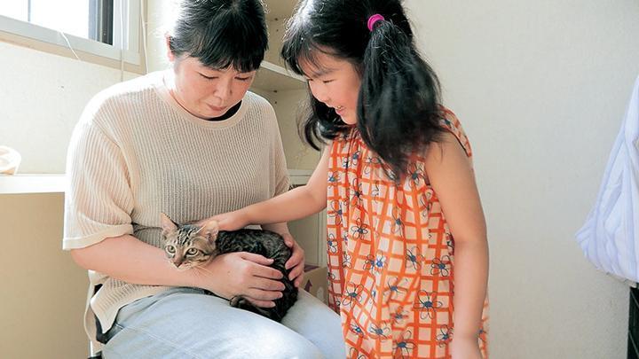 猫と触れ合っている様子