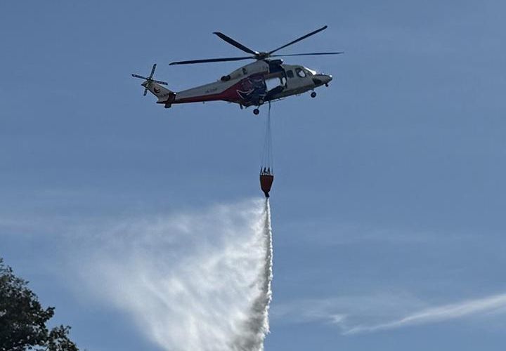 大規模林野対応訓練