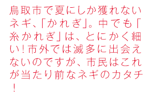 鳥取市で夏にしか獲れないネギ、「かれぎ」。中でも「糸カレギ」は、とにかく細い！市外では滅多に出会えないのですが、市民はこれが当たり前なネギのカタチ！