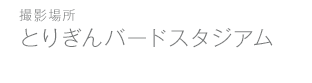 バードスタジアム