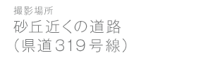 砂丘近くの道路(9号線)