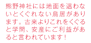 熊野神社には地面を這わないとくぐれない鳥居があります。古来よりこれをくぐると学問、安産に効力があると言われています！
