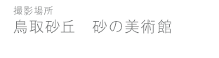 砂の美術館
