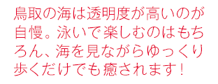 鳥取の海は透明度が高いのが自慢。泳いで楽しむのはもちろん、海を見ながらゆっく歩くだけでも癒されます！