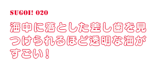 海中に落とした差し歯を見つけられるほど透明な海がすごい！