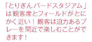 「とりぎんバードスタジアム」は観客席とフィールドがとにかく近い！観客は迫力あるプレーを間近で楽しむことができます！