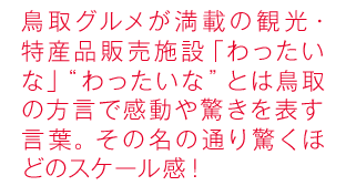 鳥取グルメが満載の観光・特産品販売施設「わったいな」“わったいな”とは鳥取の方言で感動や驚きを表す言葉。その名の通り驚くほどのスケール感！