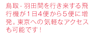 鳥取-羽田間を行き来する飛行機が1日4便から5便に増発。東京への気軽なアクセスも可能です！