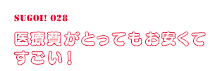 医療費がとってもお安くてすごい！