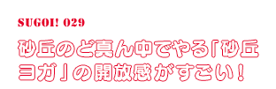 砂丘のど真ん中でやる「砂丘ヨガ」の開放感がすごい！