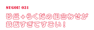 砂丘+らくだの組合わせが鉄板すぎてすごい！