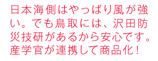 日本海側はやっぱり風が強い。でも鳥取には、沢田防災技研があるから安心です。産学官が連携して商品化！