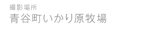 青谷