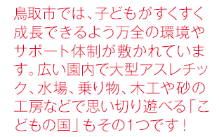 鳥取市では、子どもがすくすく成長できるよう万全の環境やサポート体制が敷かれています。広い園内で大型アスレチック、水場、乗り物、木工や砂の工房などで思い切り遊べる「こどもの国」もその１つです！