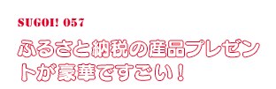 ふるさと納税の産品プレゼントが豪華ですごい！