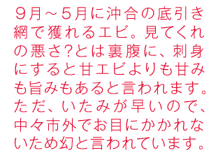 9月〜5月に沖合の底引き網で獲れるエビ。見てくれの悪さ？とは裏腹に、刺身にすると甘エビよりも甘みも旨みもあると言われます。ただ、いたみが早いので、中々市外でお目にかかれないエビです。