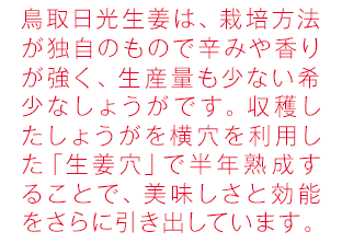 日光しょうがは、栽培方法が独自のもので辛みや香りが強く、生産量も少ない希少なしょうがです。収穫したしょうがを横穴を利用した「生姜穴」で半年熟成することで、美味しさと効能をさらに引き出しています。
