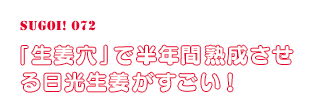 「生姜穴」で半年間熟成させる日光生姜がすごい！