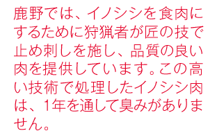 鹿野では、イノシシを食肉にするために狩猟者が匠の技で止め刺しを施し、品質の良い肉を提供しています。この高い技術で処理したイノシシ肉は、１年を通して臭みがありません。