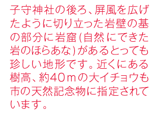 子守神社の後ろ、屏風を広げたように切り立った岩壁の基の部分に岩窟(自然 にできた岩のほらあな)があるとっても珍しい地形です。近くにある樹高、約４０mの大イチョウも市の天然記念物に指定されています。