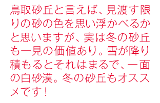 鳥取砂丘と言えば、見渡す限りの砂の色を思い浮かべるかと思いますが、実は冬の砂丘も一見の価値あり。雪が降り積もるとそれはまるで、一面の白砂漠。冬の砂丘もオススメです！
