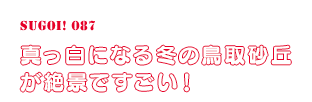 真っ白になる冬の鳥取砂丘が絶景ですごい！
