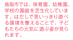 鳥取市では、保育園、幼稚園、学校の園庭を芝生化しています。はだしで思いっきり遊べる環境を整えることで、子どもたちの元気に遊ぶ姿が見られます。
