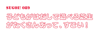 子どもがはだしで遊べる芝生がたくさんあって、すごい！