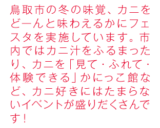 鳥取市の冬の味覚、カニをどーんと味わえるカニまつりを実施しています。市内ではカニ汁をふるまったり、カニを「見て・ふれて・体験できる」かにっこ館など、カニ好きにはたまらないイベントが盛りだくさんです！