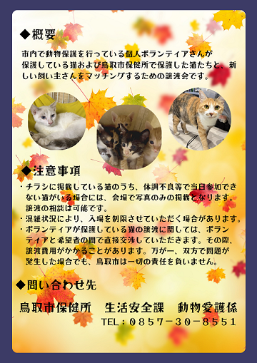 第六回保護猫譲渡会 ～にゃんちゃんたちの、おつきみ会編～の画像2