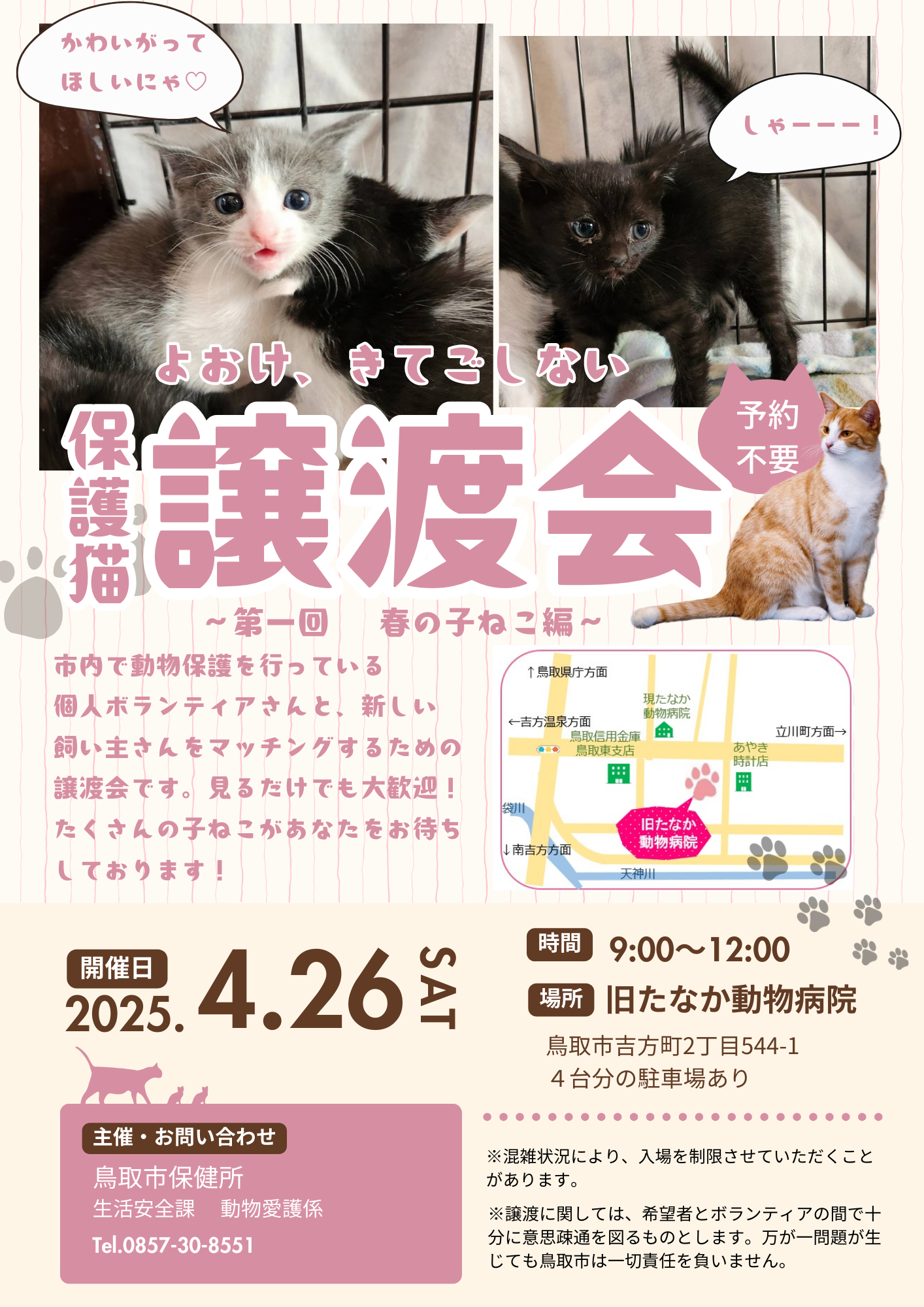 保護猫譲渡会 ～第一回　春の子ねこ編～の画像