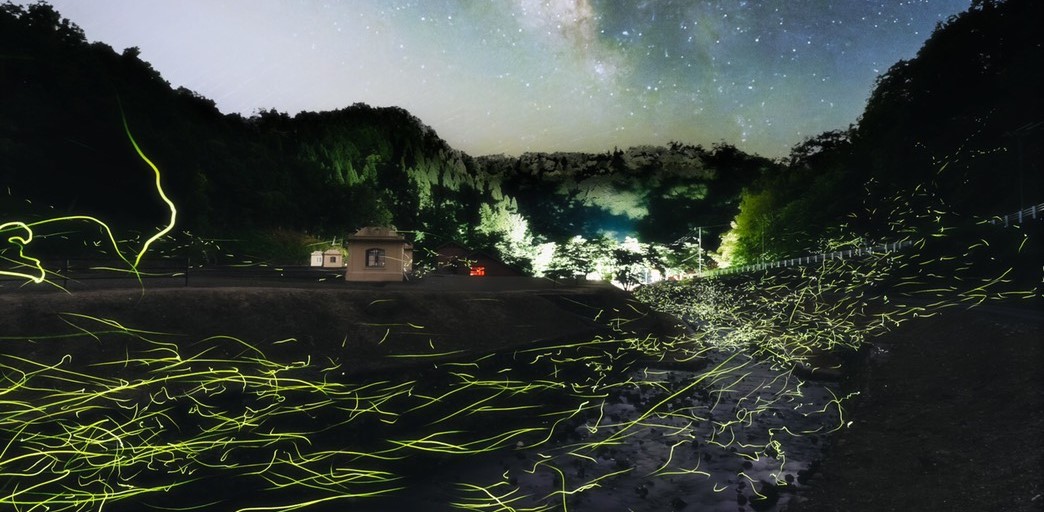 ホタル観賞ウィーク in 旧美歎水源地2025の画像