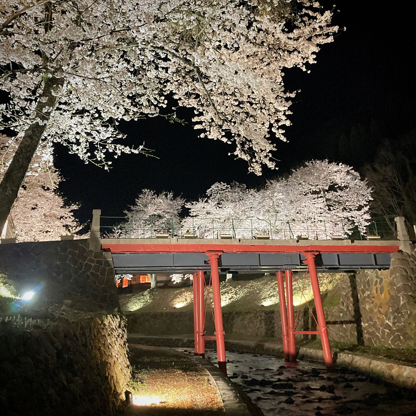 国指定重要文化財「旧美歎水源地水道施設」の画像3