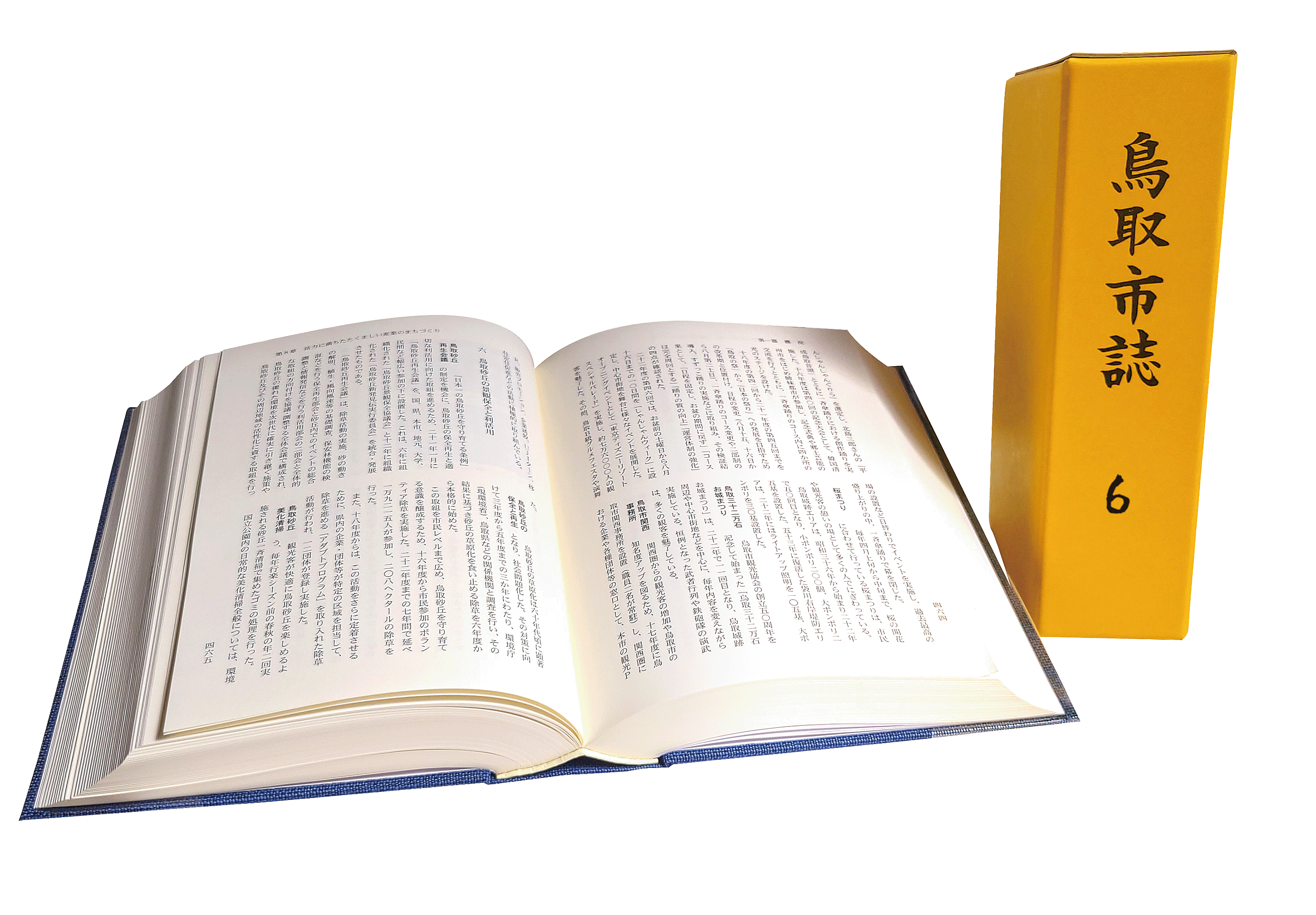 鳥取市誌6の画像