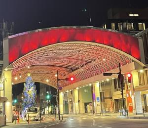 エイズデーのライトアップバードハット