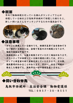 第9回保護猫譲渡会チラシ裏