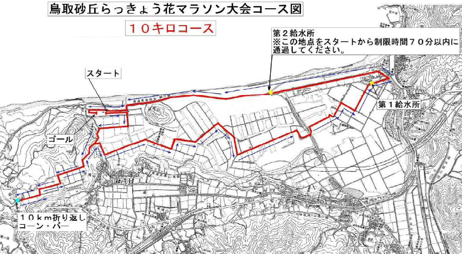 １０キロコース図